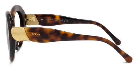 Loewe Coil LW40203I 52E Sunglasses