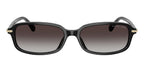 Michael Kors Agra MK2288U 3914/8G Sunglasses
