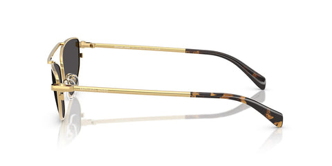 Michael Kors Buenos Aires MK1164 1896/87 Sunglasses