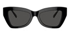 Michael Kors Montecito MK2205 3005/87 Sunglasses
