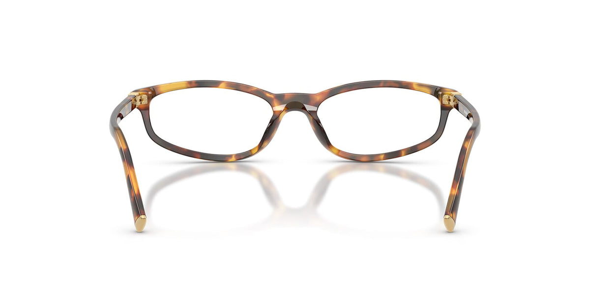 Miu Miu MU 01ZV 14L1O1 Glasses