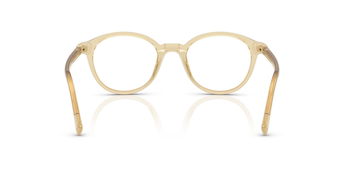 Miu Miu MU 02WV 11T1O1 Glasses