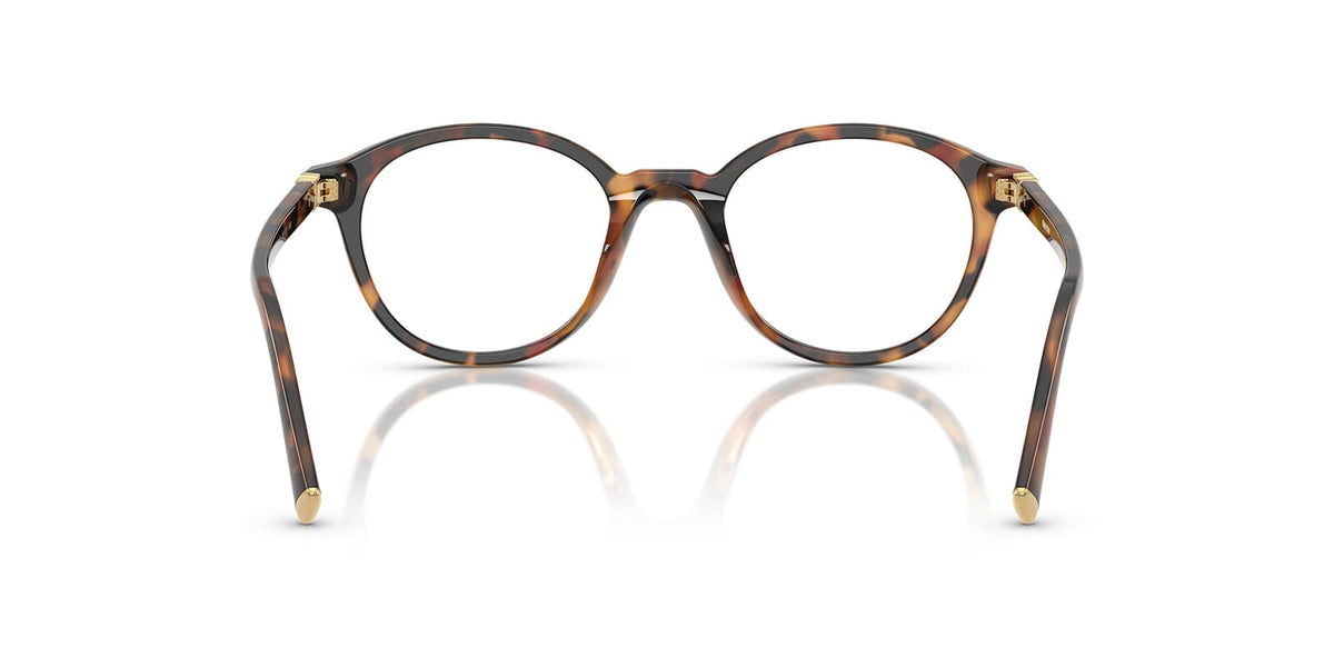 Miu Miu MU 02WV 19P1O1 Glasses