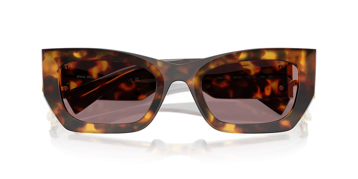 Miu Miu MU 09WS 14L20I Sunglasses