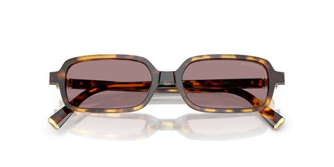 Miu Miu MU 11ZS 14L20I Sunglasses