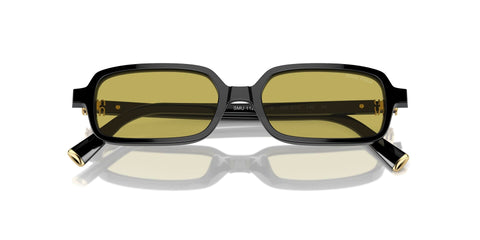 Miu Miu MU 11ZS 16K07O Sunglasses