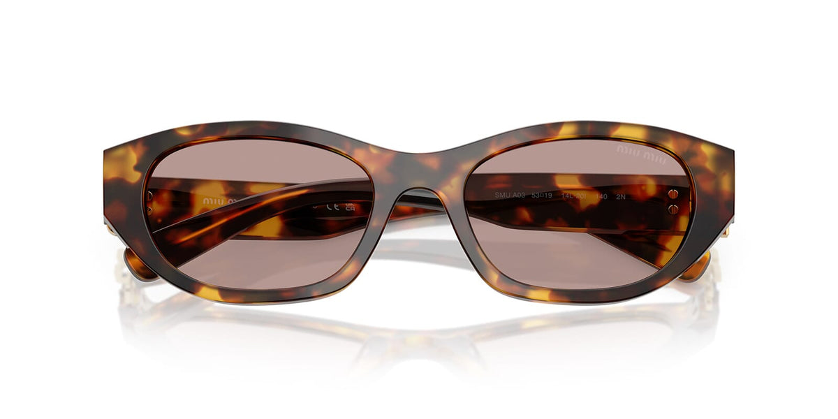 Miu Miu MU A03S 14L20I Sunglasses