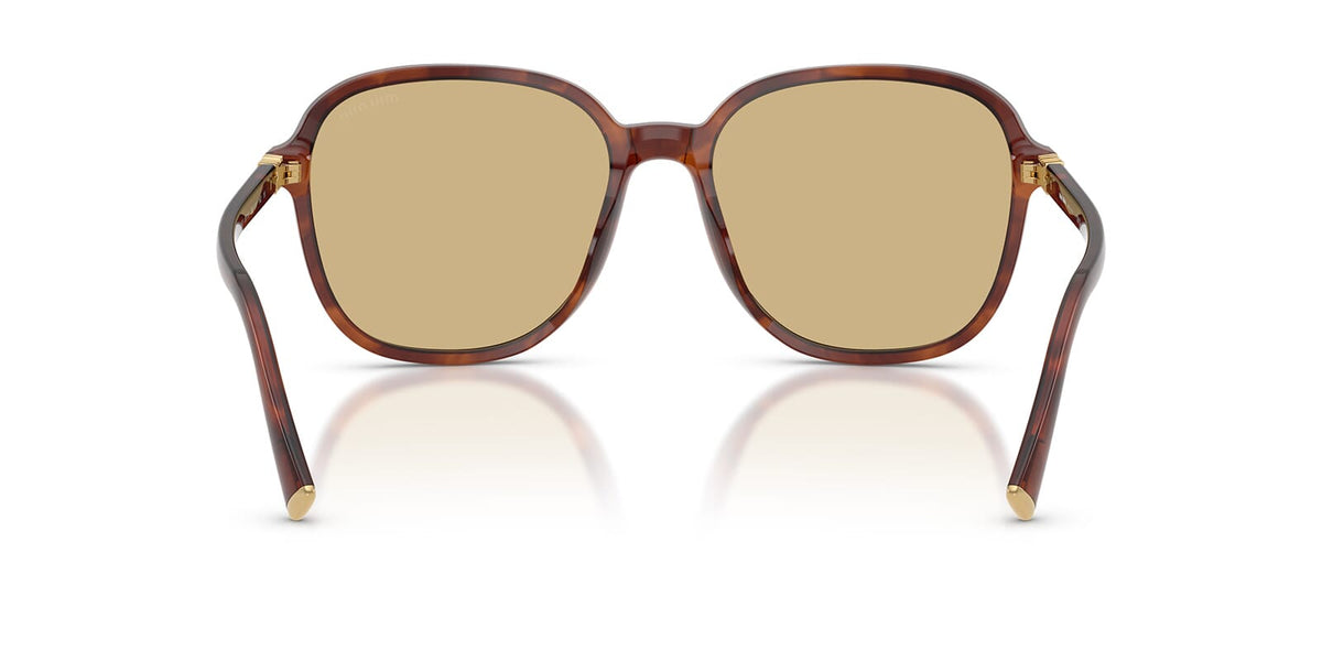 Miu Miu MU B01S 26E10R Sunglasses