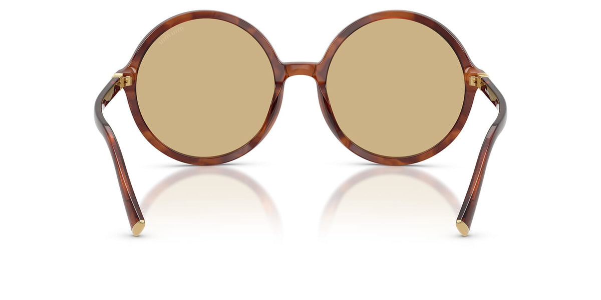 Miu Miu MU B02S 26E10R Sunglasses