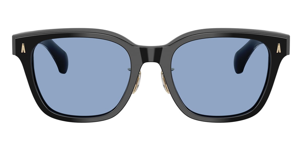 Moncler Metrope ME6002D 3001/72 Sunglasses