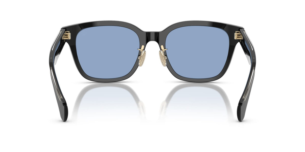 Moncler Metrope ME6002D 3001/72 Sunglasses