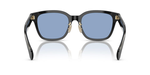 Moncler Metrope ME6002D 3001/72 Sunglasses