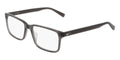 Nike 1001 034 Glasses
