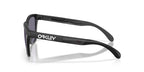 Oakley Frogskins Range XL OO9503 06 Prizm Sunglasses