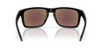 Oakley Holbrook XXL OO9487 05 Prizm Sunglasses