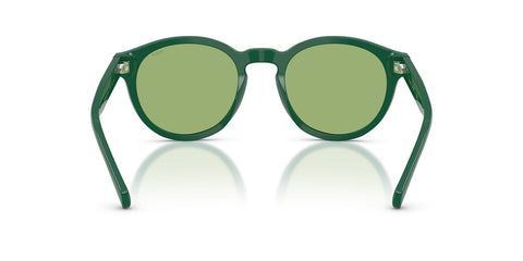 Polo Ralph Lauren PH4192 6141/2 Sunglasses