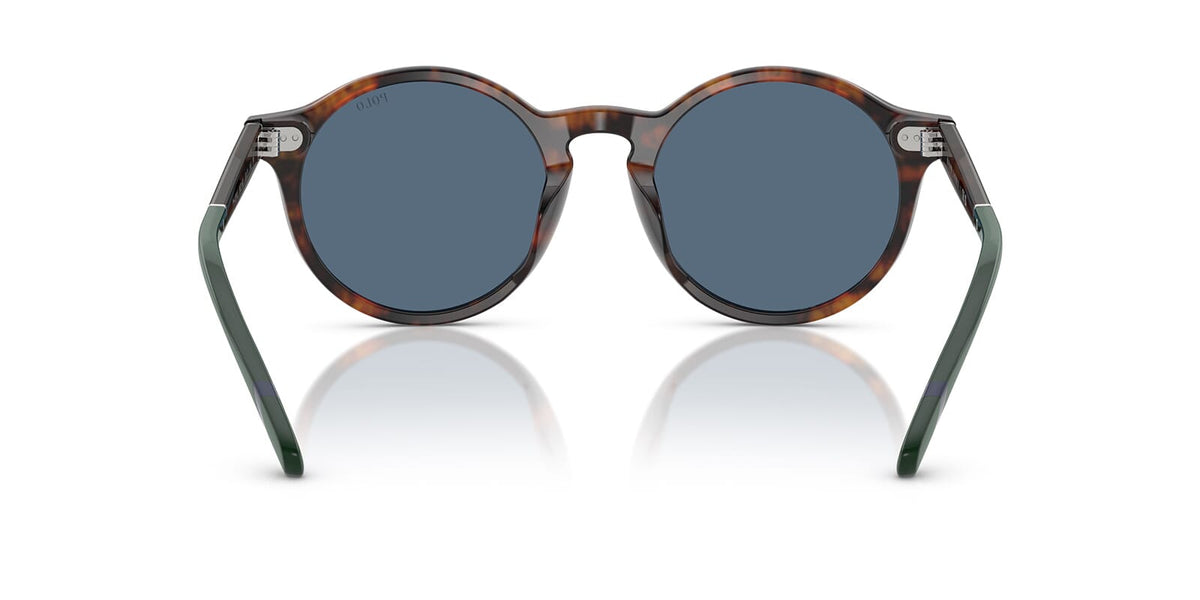 Polo Ralph Lauren PH4204U 5621/80 Sunglasses
