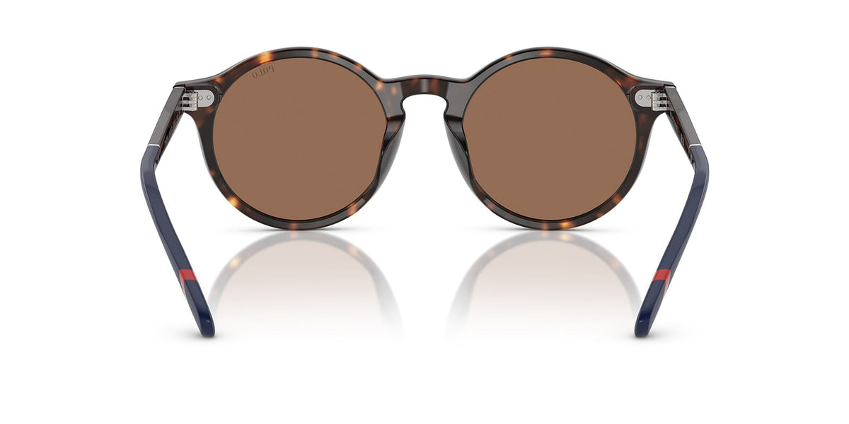Polo Ralph Lauren PH4204U 5673/73 Sunglasses