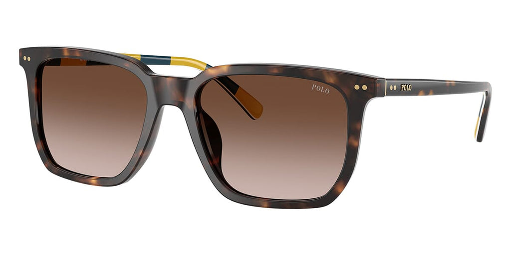 Polo Ralph Lauren PH4224U 5003/13 Sunglasses