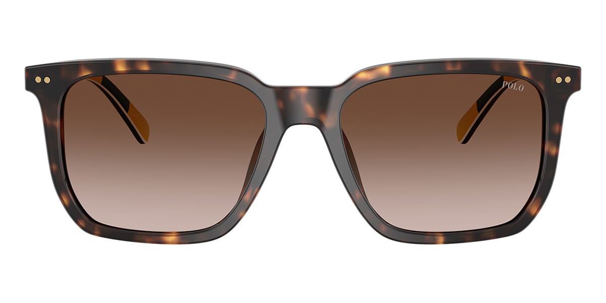 Polo Ralph Lauren PH4224U 5003/13 Sunglasses