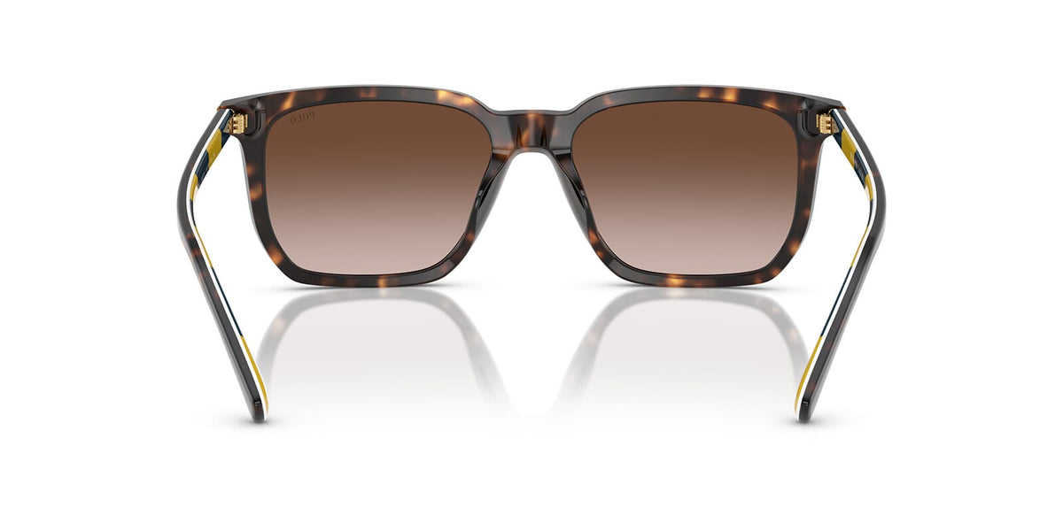 Polo Ralph Lauren PH4224U 5003/13 Sunglasses