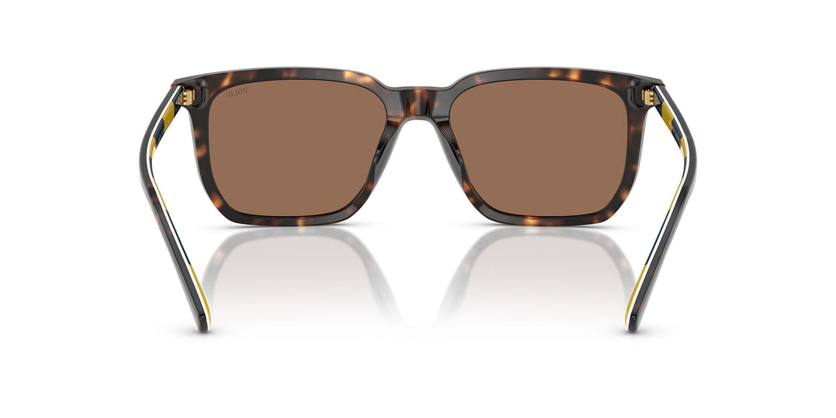 Polo Ralph Lauren PH4224U 5003/73 Sunglasses