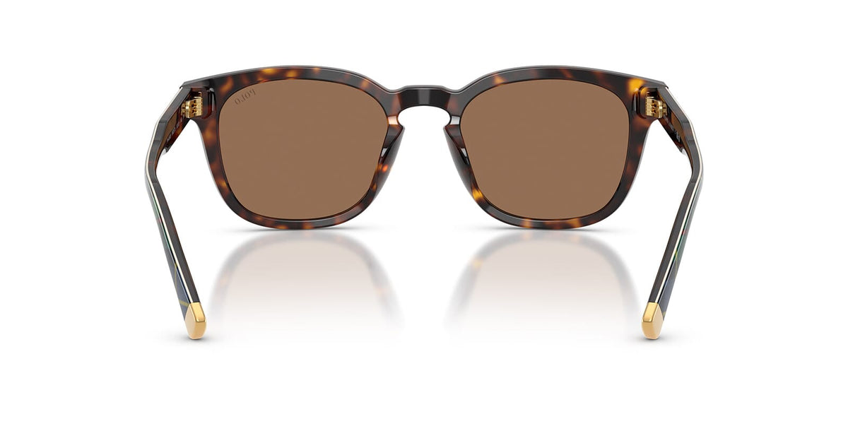 Polo Ralph Lauren PH4242U 5625/73 Sunglasses