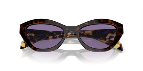 Prada PR A02S 17N50B Sunglasses