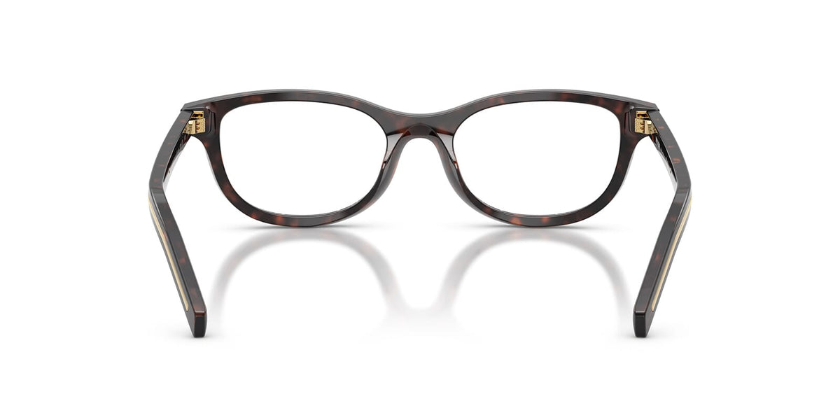 Prada PR D01VU 17N1O1 Glasses