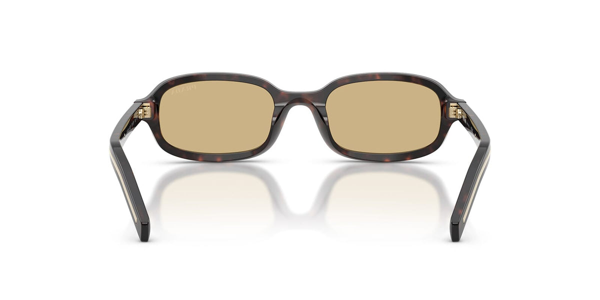 Prada PR D06S 17N70R Sunglasses