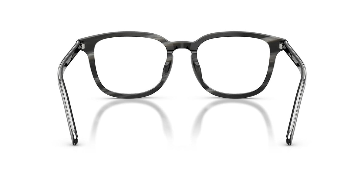 Prada PR D21VD 29O1O1 Glasses