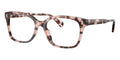 Ralph by Ralph Lauren RA7174U 5575 Glasses