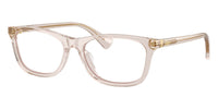 Ralph by Ralph Lauren RA7179U 6117