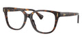 Ralph by Ralph Laurent RA7196U 5003 Glasses