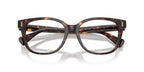 Ralph by Ralph Laurent RA7196U 5003 Glasses