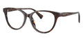 Ralph by Ralph Laurent RA7198U 5003 Glasses
