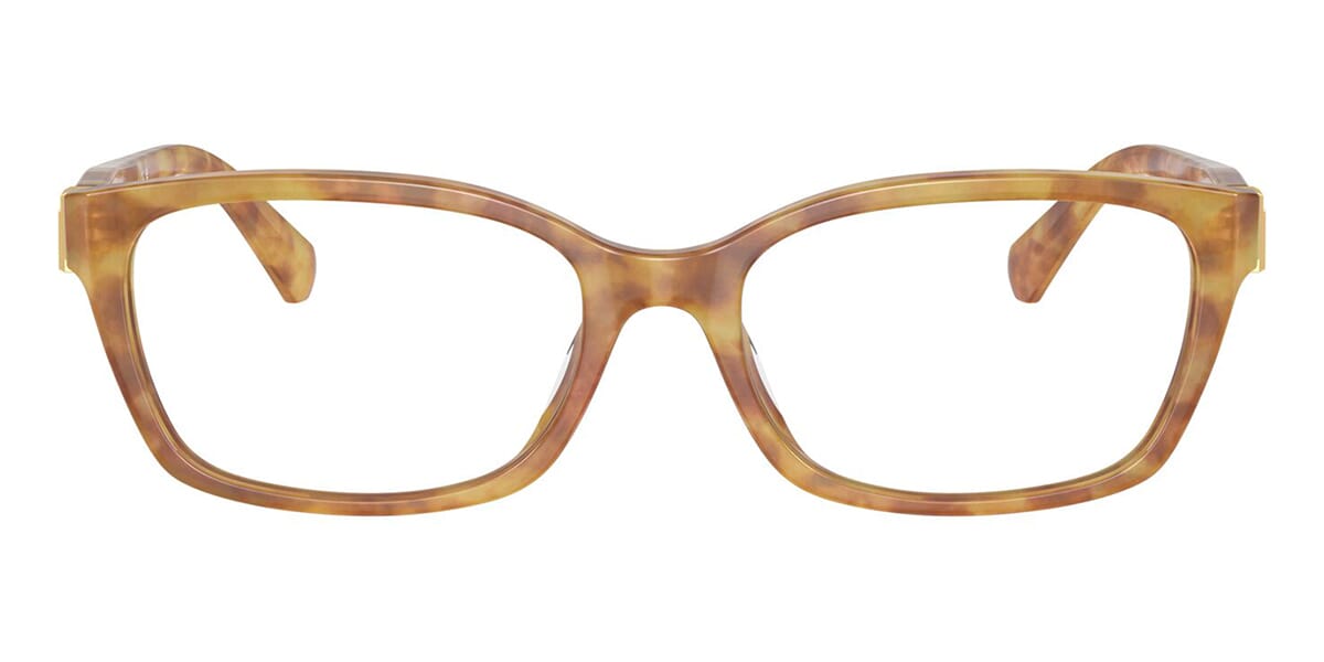 Ralph Lauren RL6244U 5304 Glasses