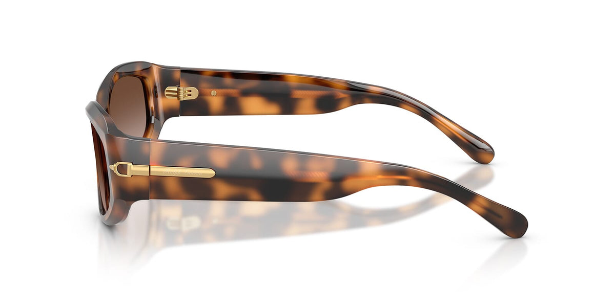 Ralph Lauren RL8243U 6089/13 Sunglasses