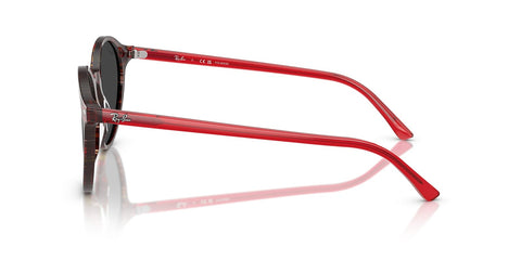 Ray-Ban Bernard RB 2230 1419/48 Polarised Sunglasses