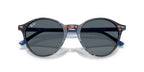 Ray-Ban Bernard RB 2230 1420/GK Sunglasses