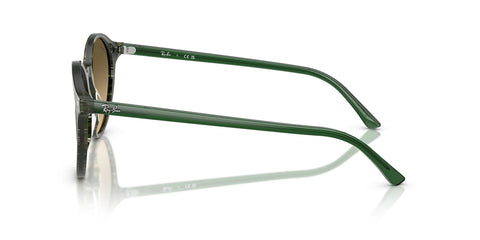 Ray-Ban Bernard RB 2230 1421/0A Sunglasses