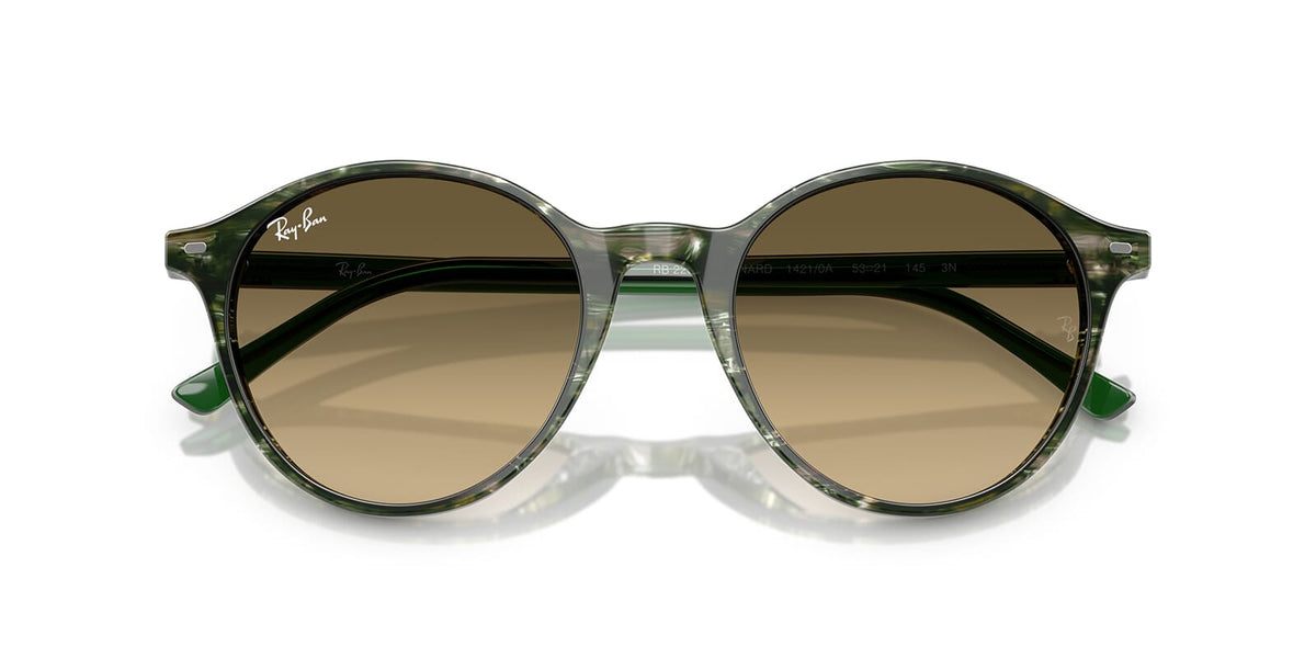 Ray-Ban Bernard RB 2230 1421/0A Sunglasses