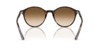 Ray-Ban Bernard RB 2230 902/51 Sunglasses