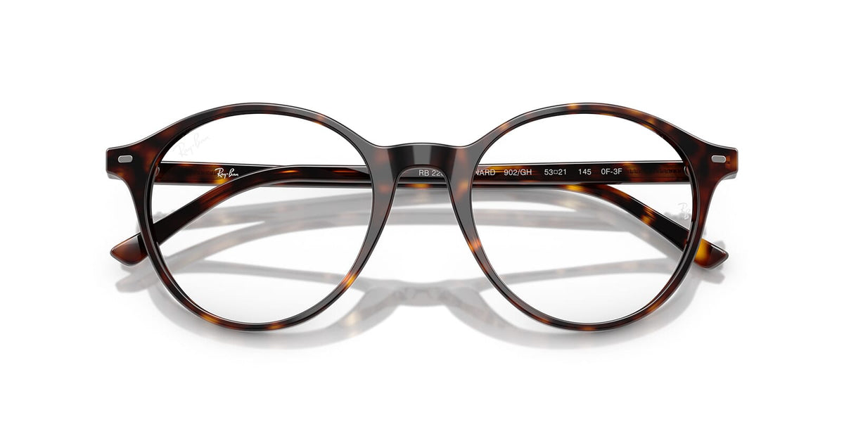 Ray-Ban Bernard RB 2230 902/GH Sunglasses