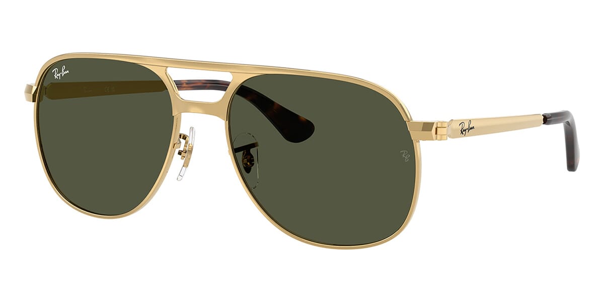 Ray-Ban Bill Max RB 3793 001/31 Sunglasses