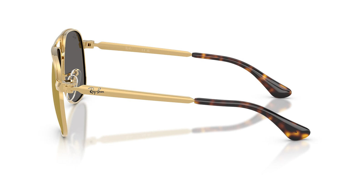 Ray-Ban Bill Max RB 3793 001/93 Sunglasses