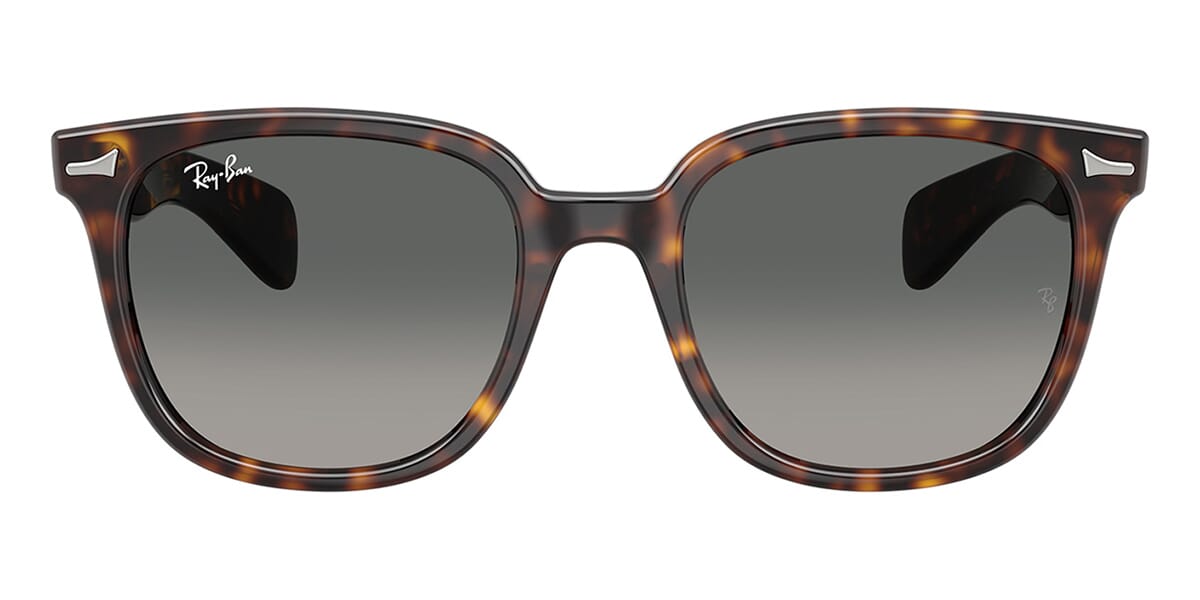 Ray-Ban Brunel II RB 2235 902/71 Sunglasses