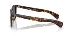 Ray-Ban Brunel II RB 2235 902/71 Sunglasses