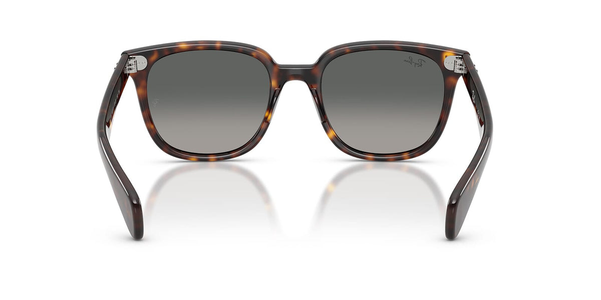 Ray-Ban Brunel II RB 2235 902/71 Sunglasses