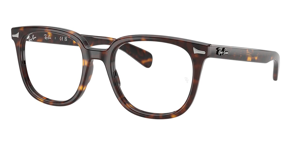 Ray-Ban Brunel II RB 5535 2012 Glasses